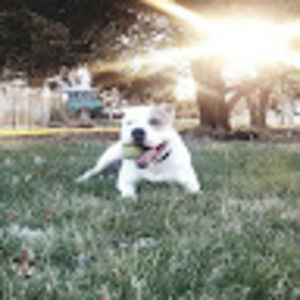 Meet your Posher, Robert